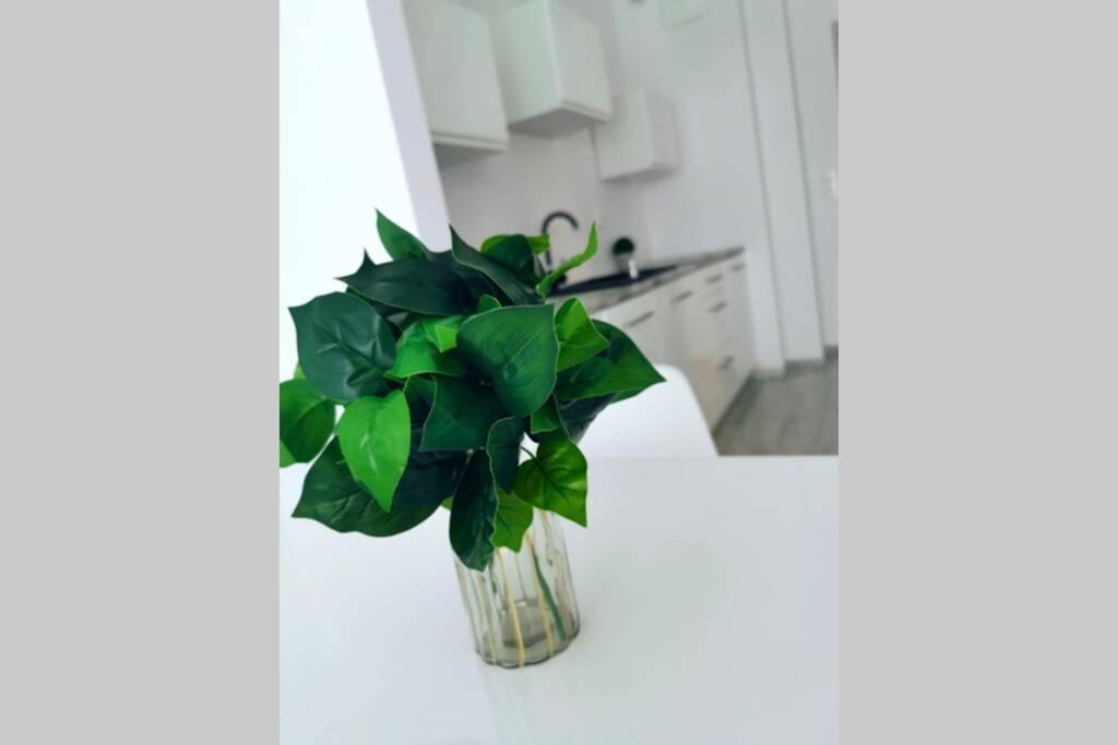 Green Apartment Promenada Gwiazd- Widok Na Morze. Miedzyzdroje Esterno foto