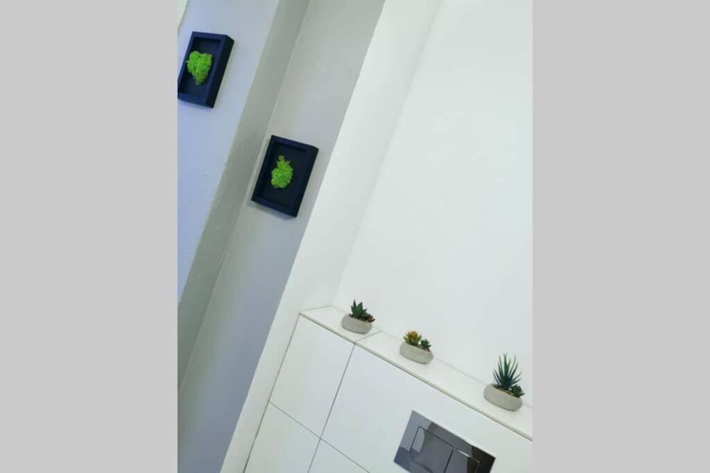 Green Apartment Promenada Gwiazd- Widok Na Morze. Miedzyzdroje Esterno foto